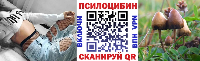 Галлюциногенные грибы прущие грибы  Купить закладки  Невельск 
